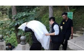 落魄千金携子归来讨债 落魄千金携子归来讨债