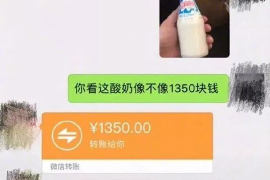 鹿鼎记要账:揭秘金庸笔下韦小宝的财务智慧 鹿鼎记要账:揭秘金庸笔下韦小宝的财务智慧