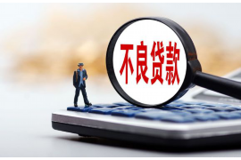 海南债务催收公司:专业解决债务纠纷的关键角色 海南债务催收公司:专业解决债务纠纷的关键角色