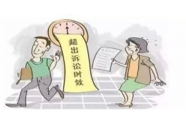 猫猫钱包催收多久:解析催收流程与时间表 猫猫钱包催收多久:解析催收流程与时间表