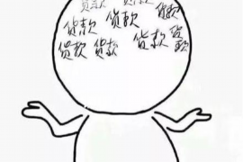 黑龙江债务催收公司:专业、高效、合法的债务解决方案 黑龙江债务催收公司:专业、高效、合法的债务解决方案